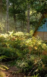 001 bradmoor woods and 4 ton tents