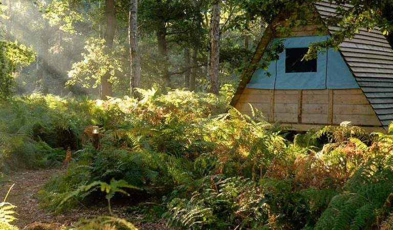 001 bradmoor woods and 4 ton tents