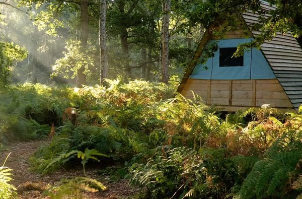 001 bradmoor woods and 4 ton tents