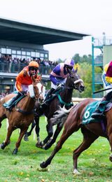 001 fakenham racecourses