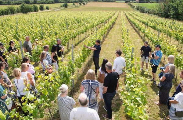 001 flint vineyard earsham