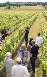 001 flint vineyard earsham