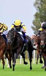 001 great yarmouth racecourse