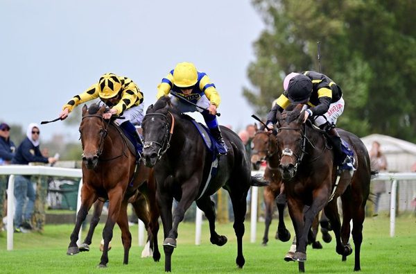 001 great yarmouth racecourse