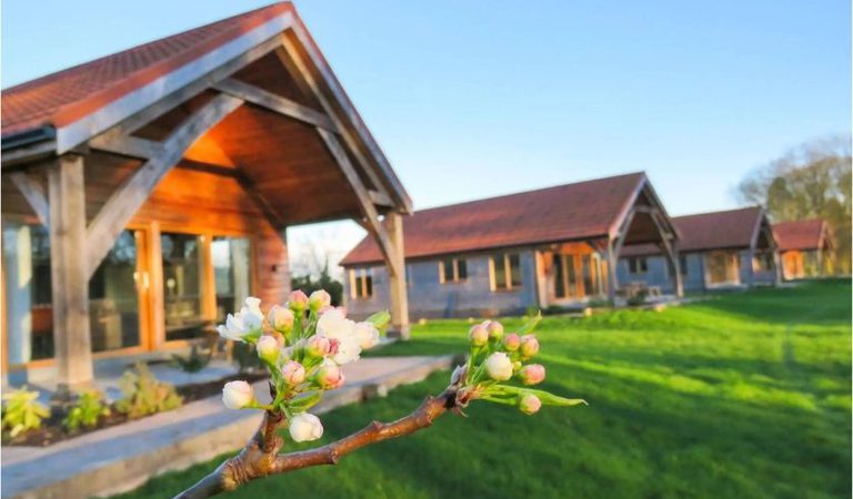 001 hays wood retreat