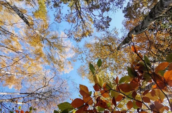 001 holt country park