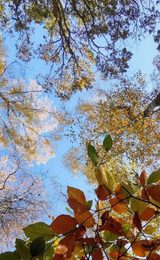 001 holt country park