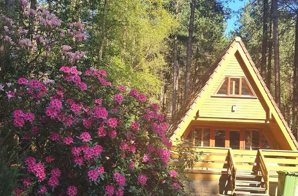 001 new weybourne forest lodges