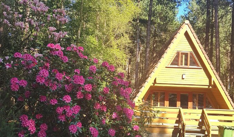 001 new weybourne forest lodges