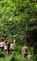 001 nwt sweet briar marshes