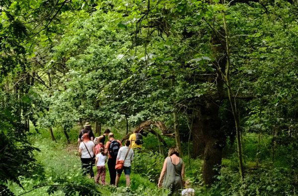 001 nwt sweet briar marshes