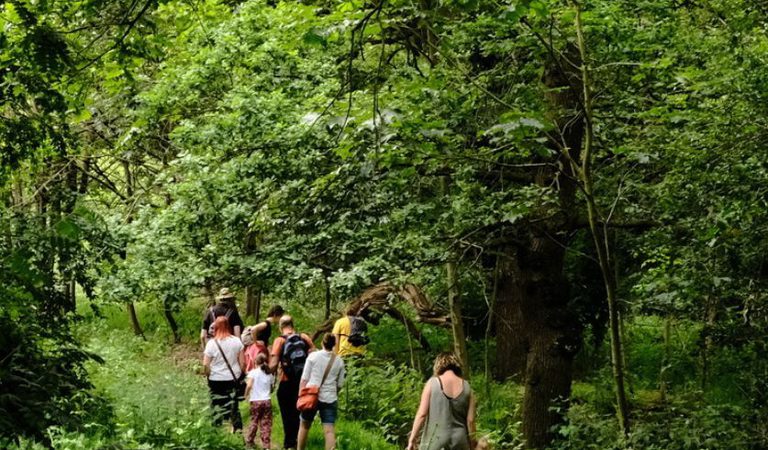 001 nwt sweet briar marshes