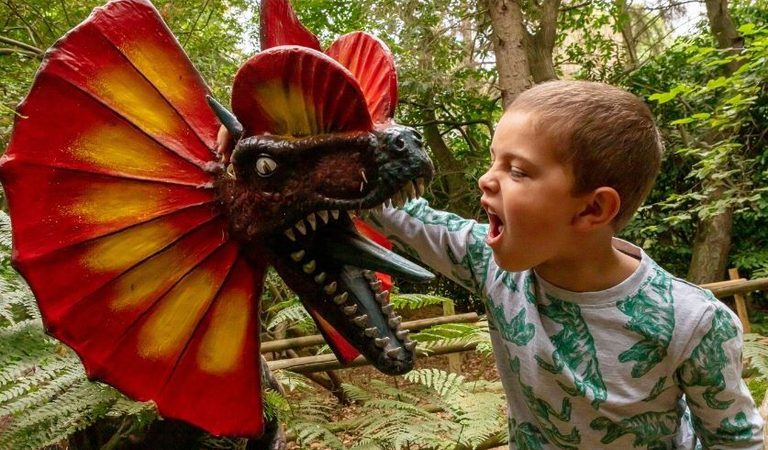 001 roarr dinosaur adventure lenwade