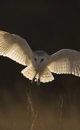 001 sculthorpe moor fakenham