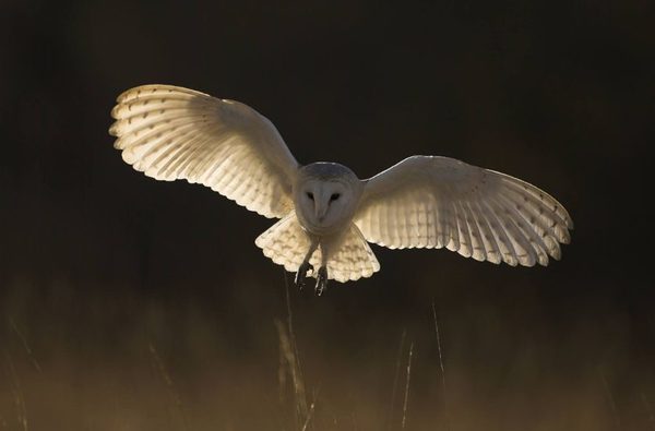 001 sculthorpe moor fakenham