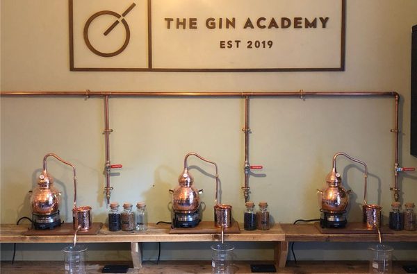 001 the gin academy