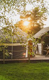 001 the grove glamping