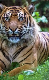 001 thrigby hall thrigby norfolk