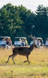 001 watatunga wildlife reserve kings lynn norfolk