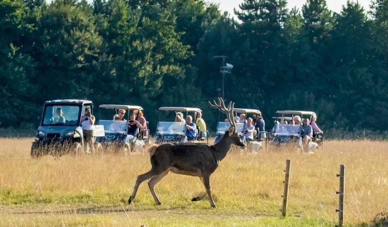 001 watatunga wildlife reserve kings lynn norfolk