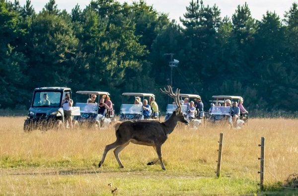 001 watatunga wildlife reserve kings lynn norfolk