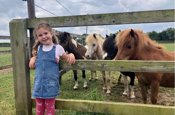 001 world horse welfare