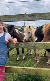 001 world horse welfare