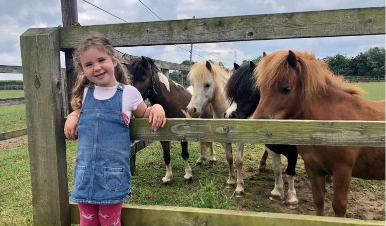 001 world horse welfare