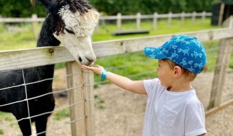 001 wroxham barns hoveton norfolk