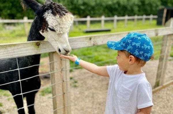 001 wroxham barns hoveton norfolk