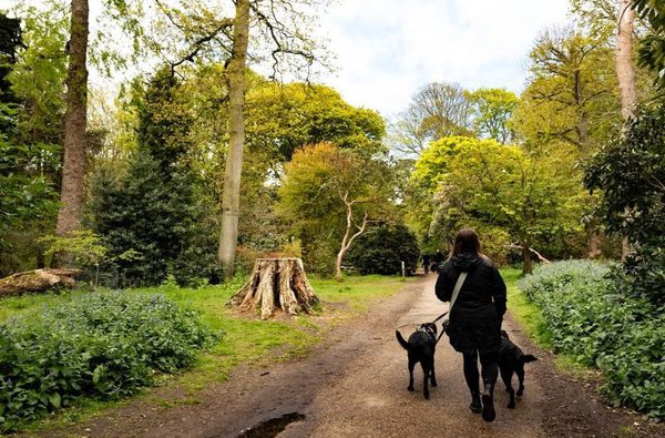 002 north norfolk camping glamping with myminibreak holt norfolk