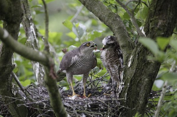 002 sculthorpe moor fakenham