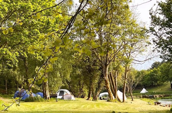 005 north norfolk camping glamping with myminibreak holt norfolk