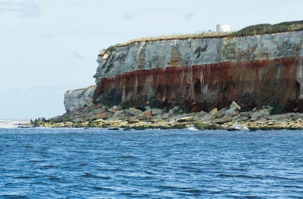 005 searles sea tours hunstanton