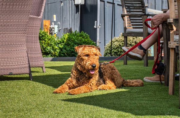 005 the wiveton bell