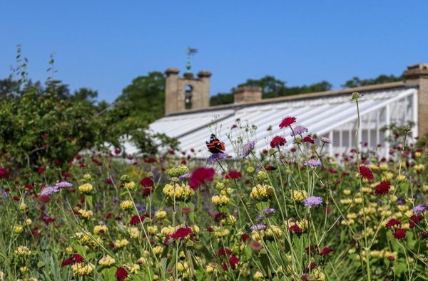 007 holkham hall and estate