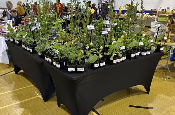 007 the norfolk warehouse