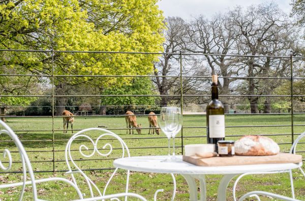 007 watatunga safari stays