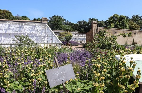 009 holkham hall and estate
