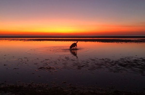 009 norfolk accommodation with myminibreak heacham norfolk