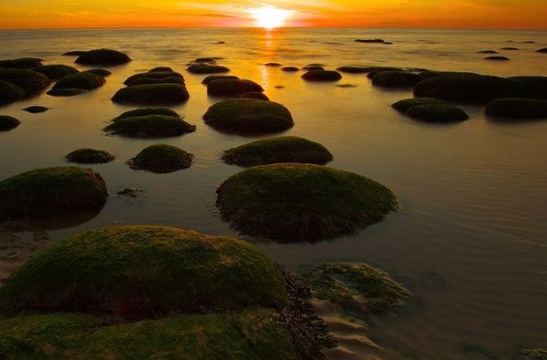 009 searles sea tours hunstanton