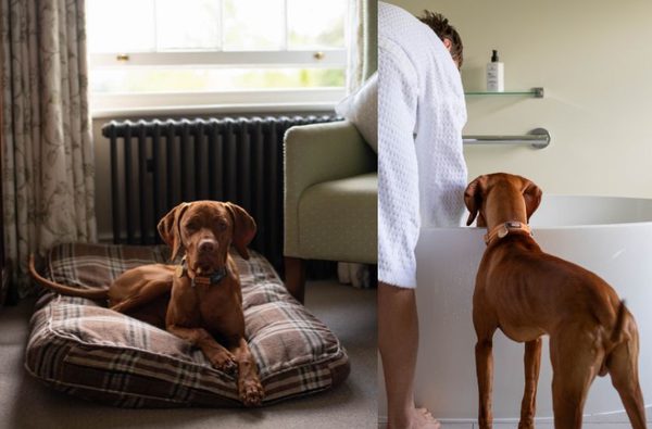 009 the victoria inn holkham