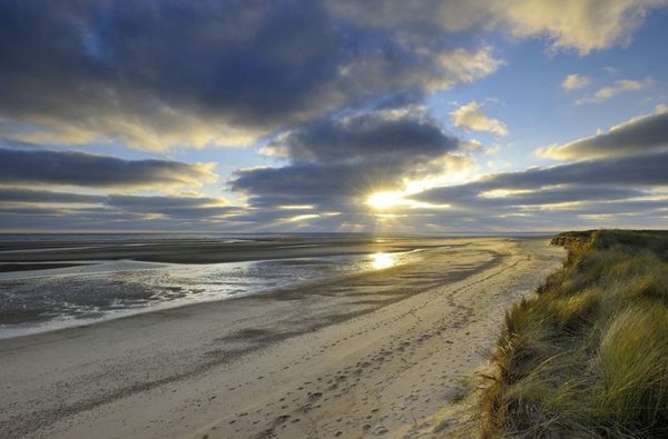 012 holkham hall and estate