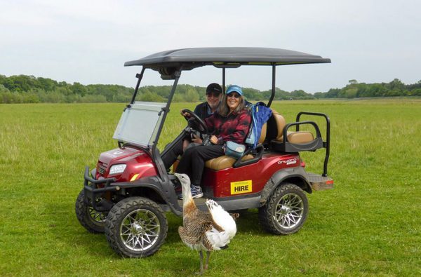 012 watatunga safari stays