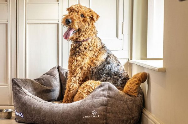 013 the wiveton bell