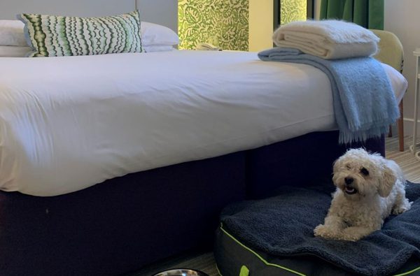 014 maids head norwich