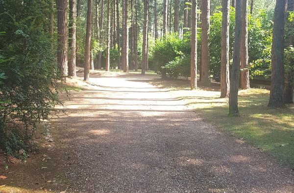 015 new weybourne forest lodges