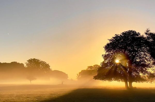 019 holkham hall and estate