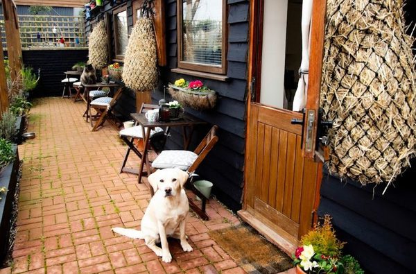 019 norfolk accommodation with myminibreak heacham norfolk