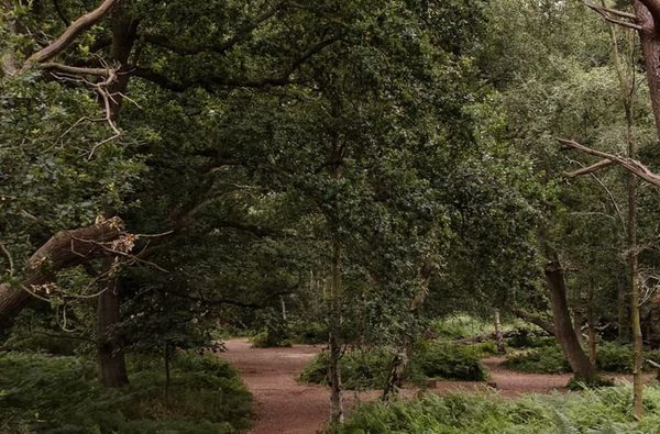 020 bradmoor woods and 4 ton tents